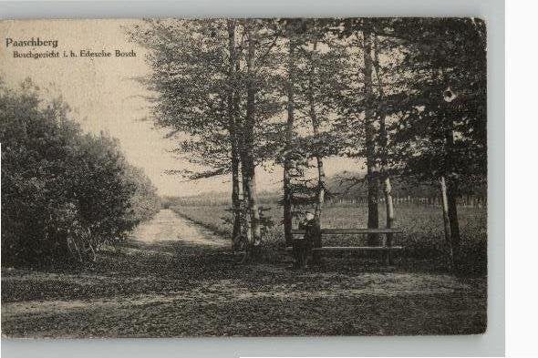 Ede Paaschberg Boschgezicht st 1911 zie adreszijde, Ophalen of Verzenden, Voor 1920, Gelopen, Gelderland