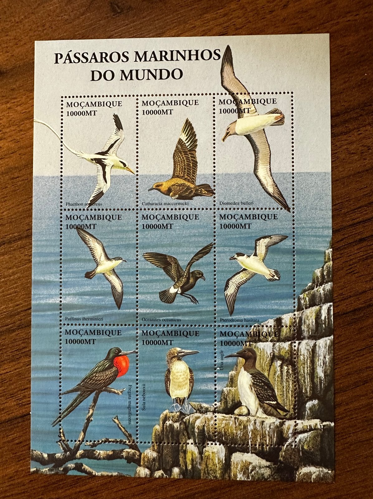 Mozambique 2002 vogels meeuwen postfris velletje, Ophalen of Verzenden, Postfris