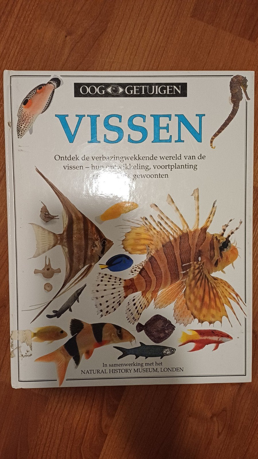 Vissen boek, Boeken, Dieren en Huisdieren, Ophalen, Zo goed als nieuw, Vissen