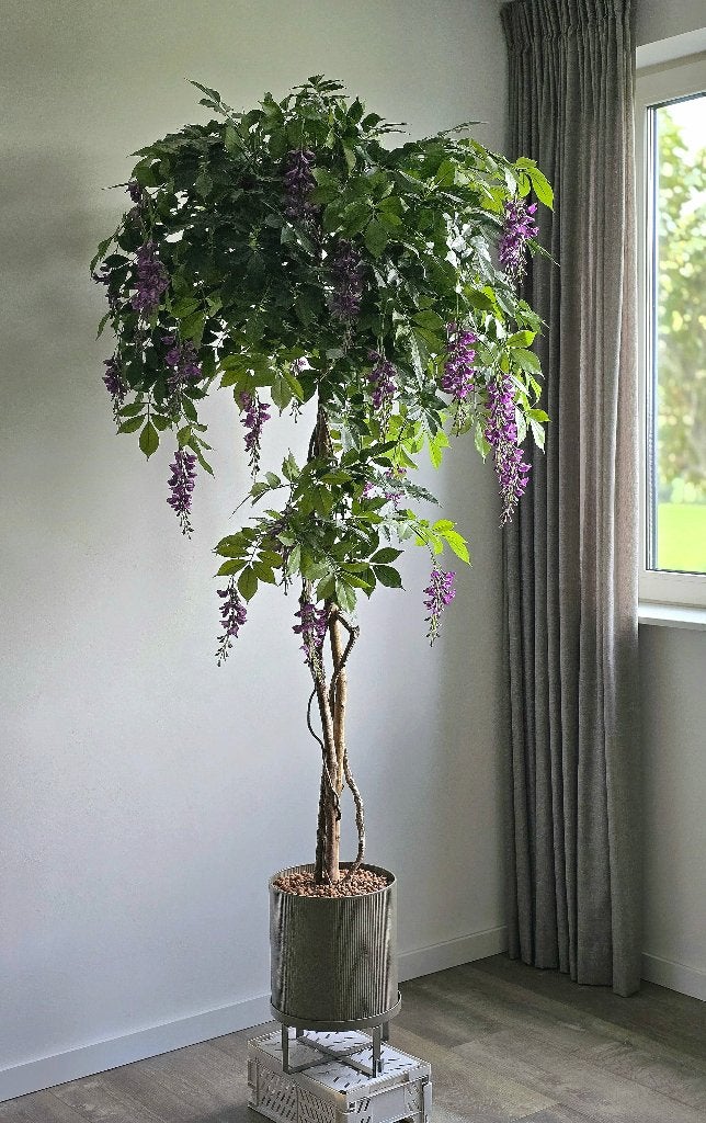 Kunstplant Blauwe Regen (Wisteria): Lila bloemen, 180 cm, Binnen, Kunstplant, Nieuw