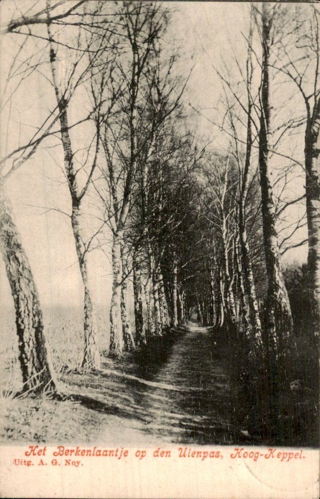 Hoog-Keppel - Berkenlaantje - Ulenpas, Ophalen of Verzenden, Voor 1920, Gelopen, Gelderland