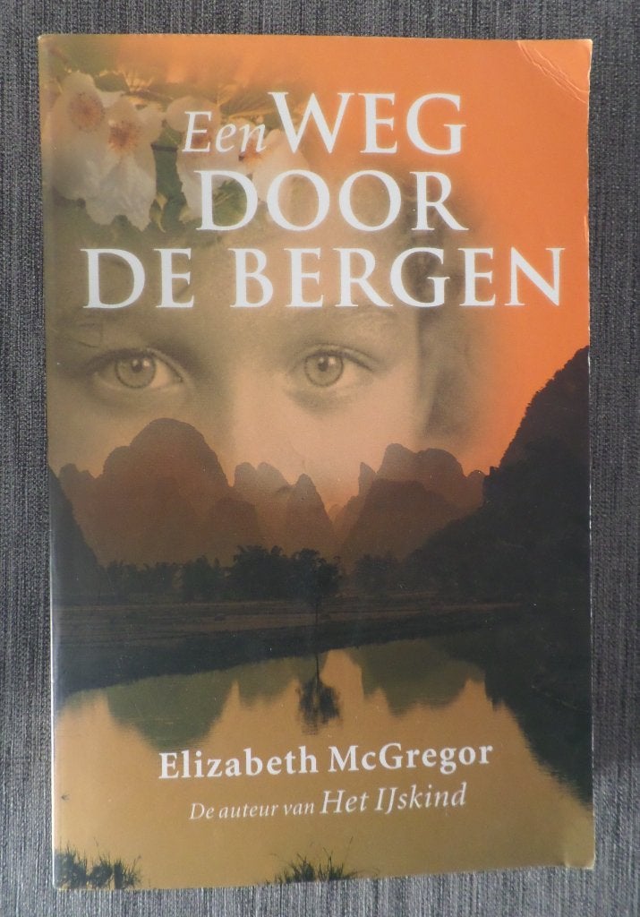 Elizabeth McGregor  Een weg door de bergen, Ophalen of Verzenden, Gelezen, Elizabeth McGregor