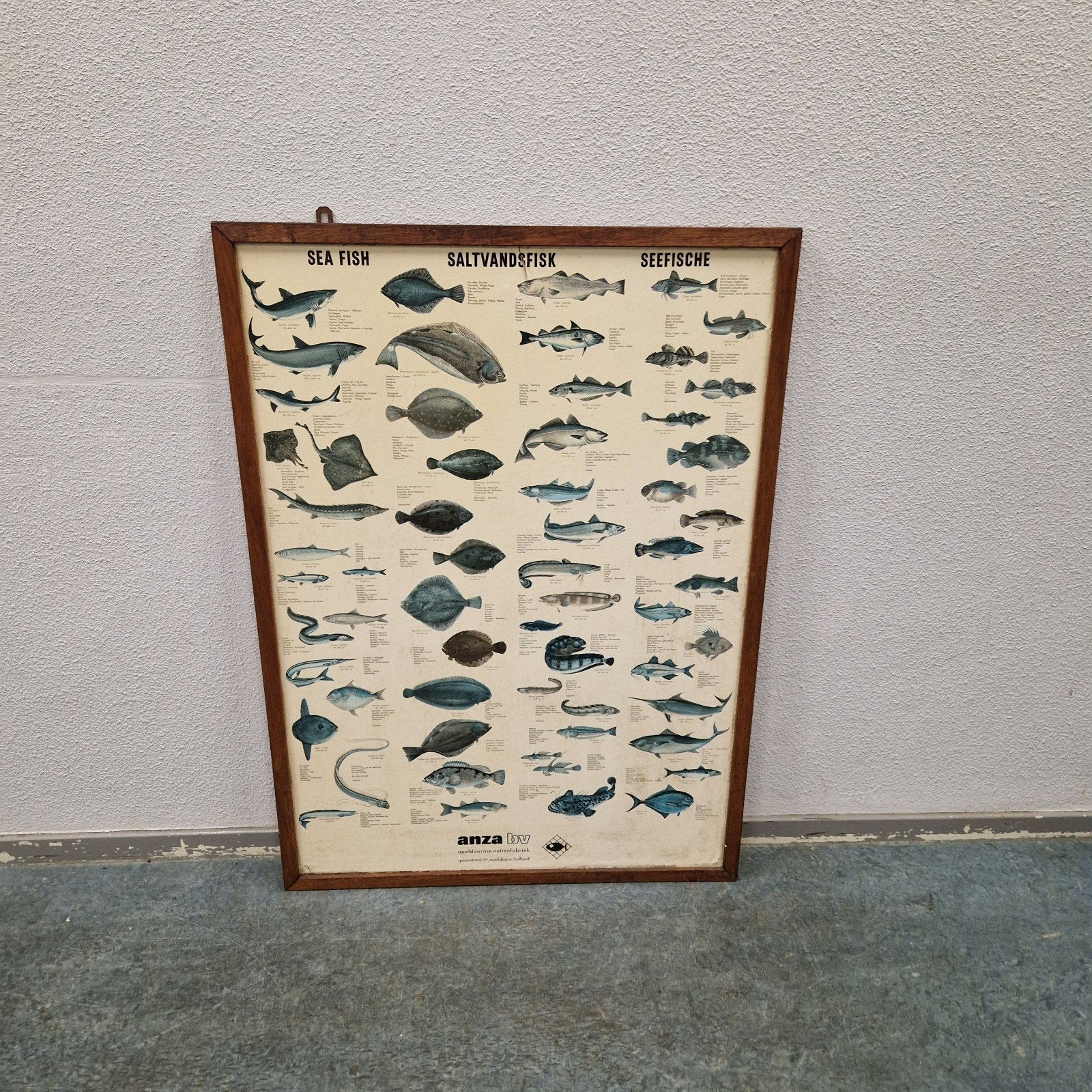 Vintage reclame plaat zoutwater vissen plaat, Ophalen of Verzenden, Huis en Inrichting