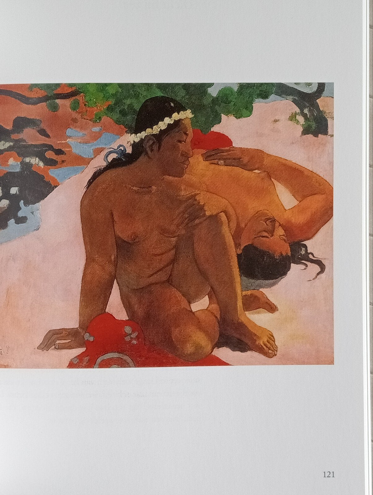 Paul Gauguin uitgave, Boeken, Kunst en Cultuur | Beeldend, Ophalen of Verzenden, Gelezen