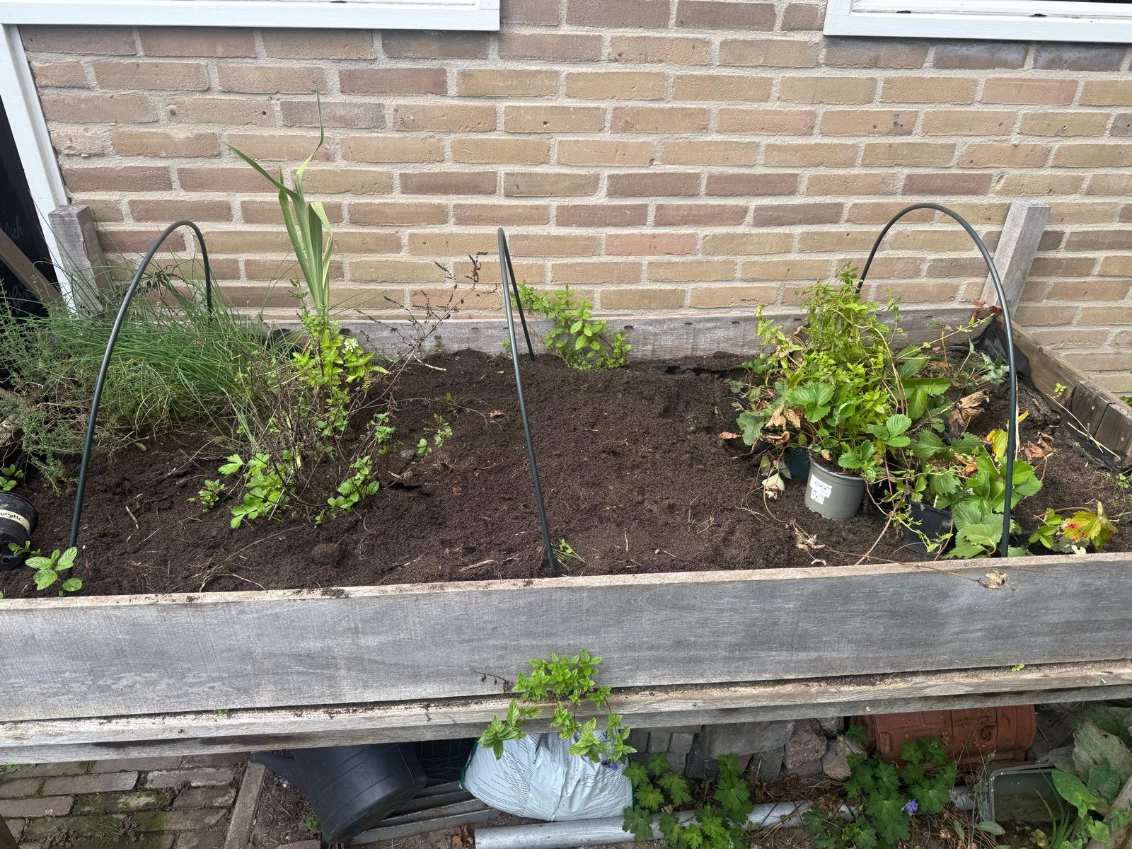 Grote moestuinbak/tafel 100x220 cm met worteldoek, Tuin en Terras, Gebruikt, 100 cm of meer, Ophalen of Verzenden, 60 cm of meer