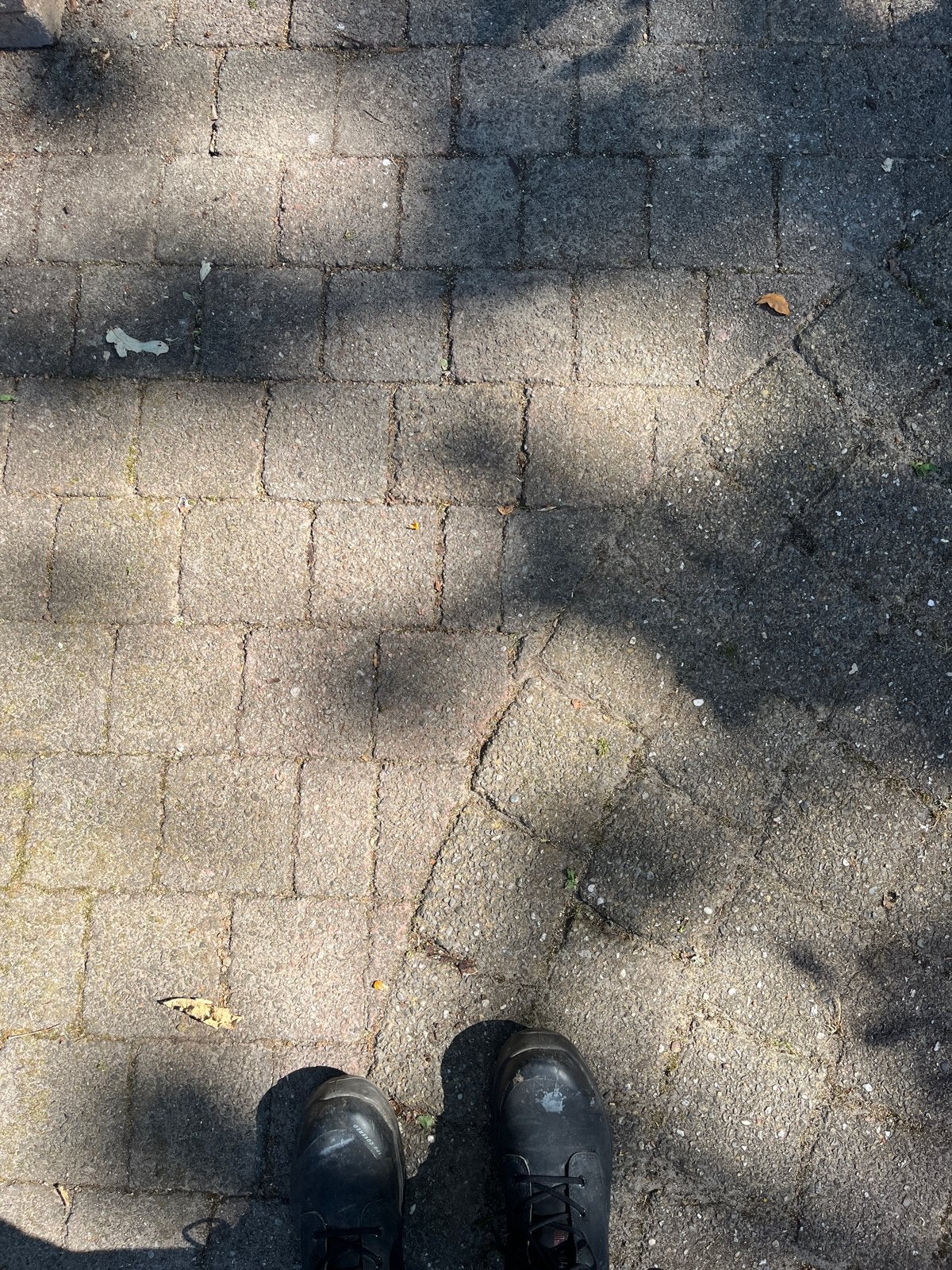 Terrastegels voor sierbestrating, Ophalen, Gebruikt, 10 m² of meer, Beton
