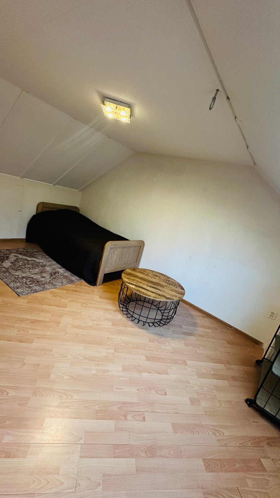 Kamer te huur in Alkmaar voor een dame