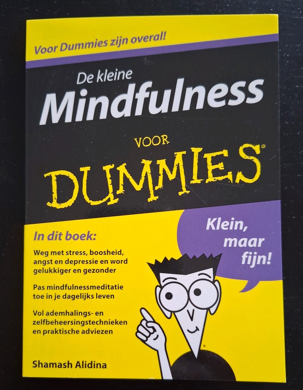 Shamash Alidina - De kleine mindfulness voor dummies, Ophalen, Zo goed als nieuw, Shamash Alidina