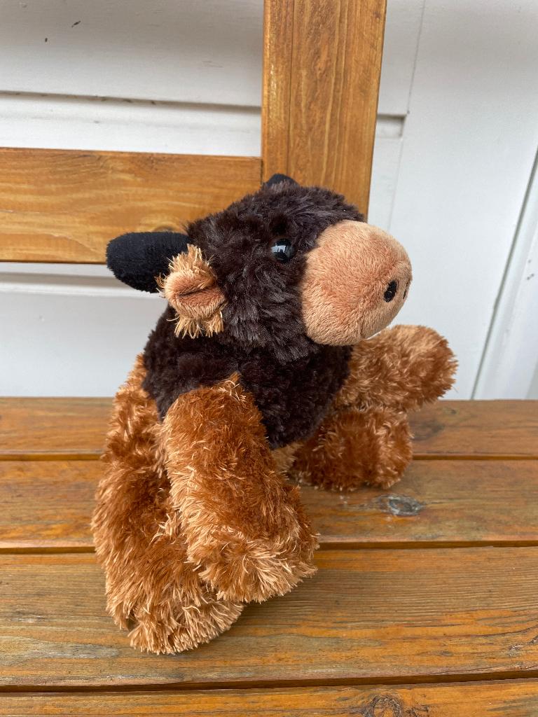 Knuffel koe / stier zwart - bruin Schotse hooglander, Verzamelen, Dierenverzamelingen, Ophalen of Verzenden, Zo goed als nieuw