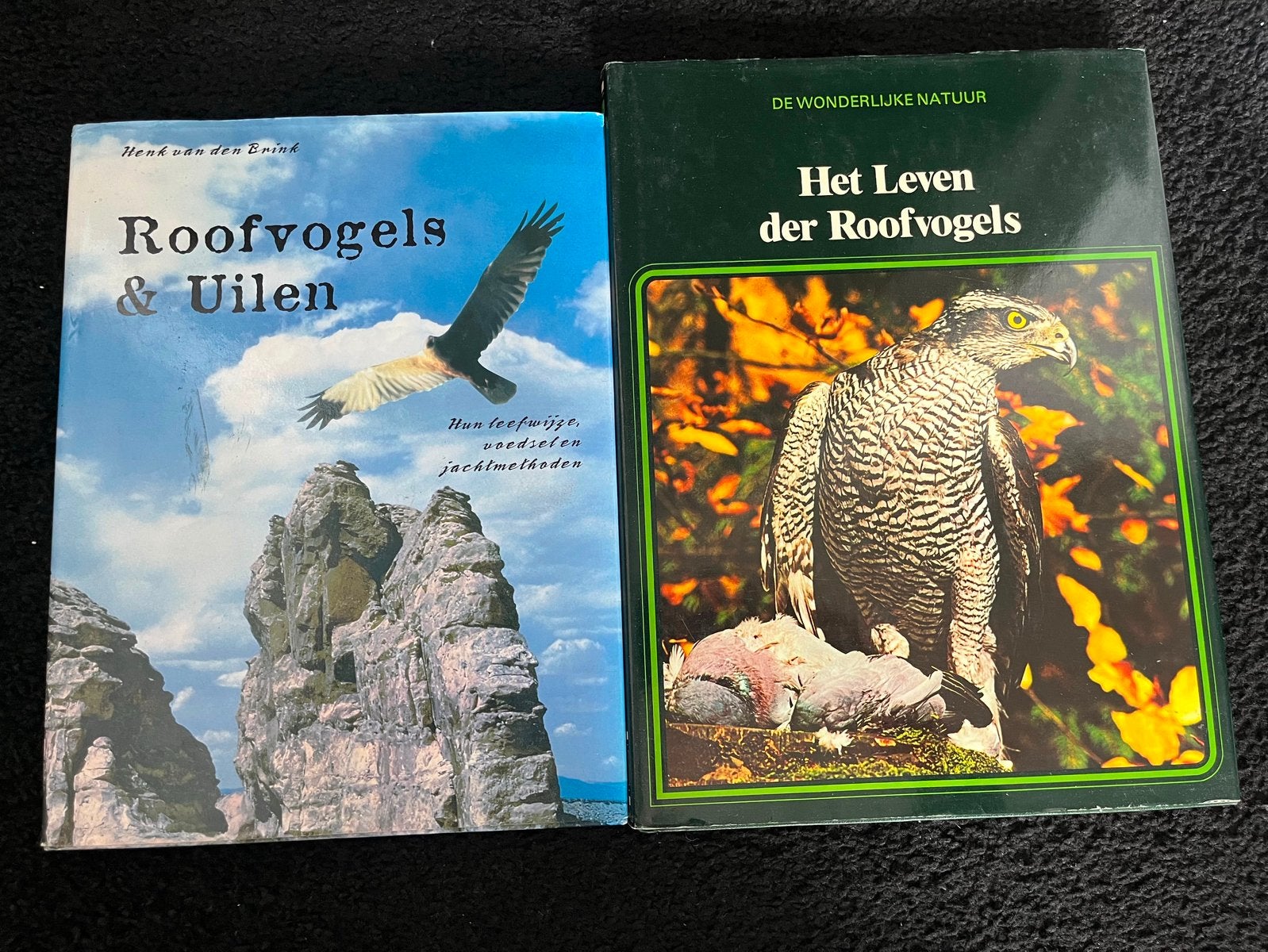 Boeken over roodvogels, Ophalen of Verzenden, Gelezen, Vogels