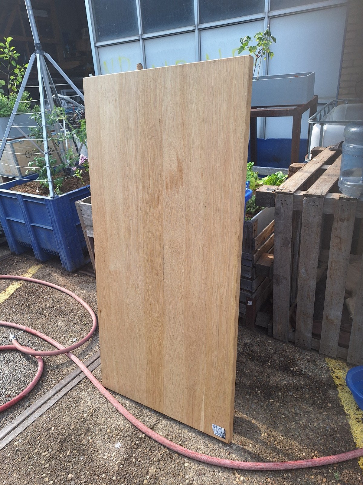 Eiken bladen barblad tafelblad, Ophalen, Rechthoekig, 50 tot 100 cm