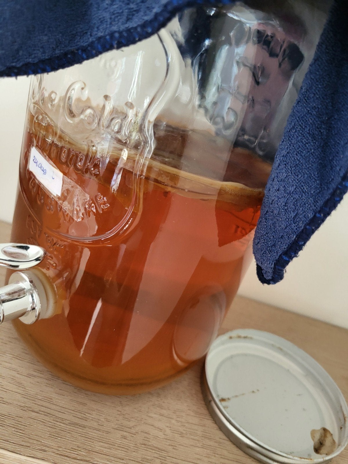 kombucha zwam, Diversen, Ophalen of Verzenden