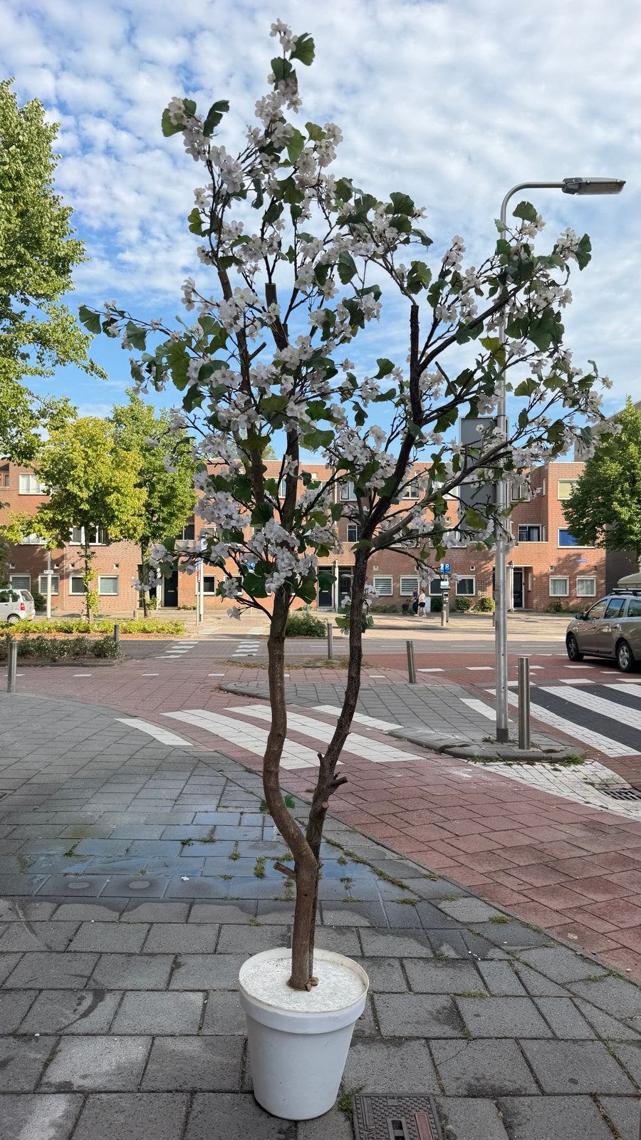 Grote kunstbloesem boom, 2,70m hoog, met echte boomstammen, Ophalen, Binnen, Gebruikt, Wit