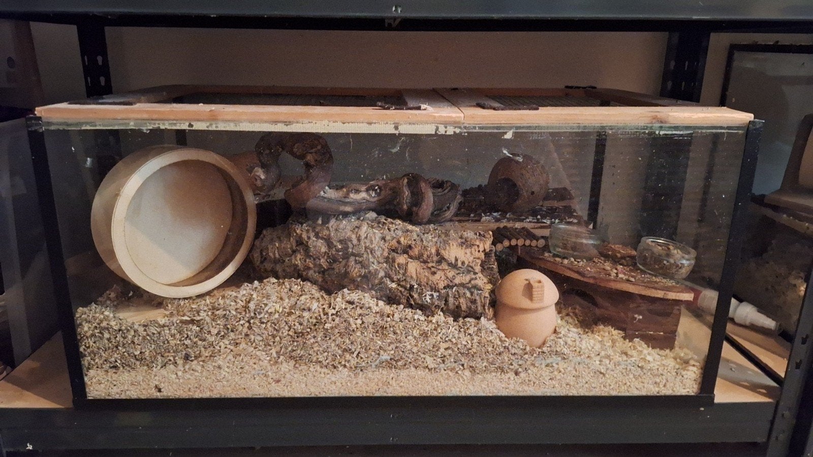 Knaagdierbakken glas exclusief inrichting, Ophalen, Hok, Muis, Minder dan 60 cm