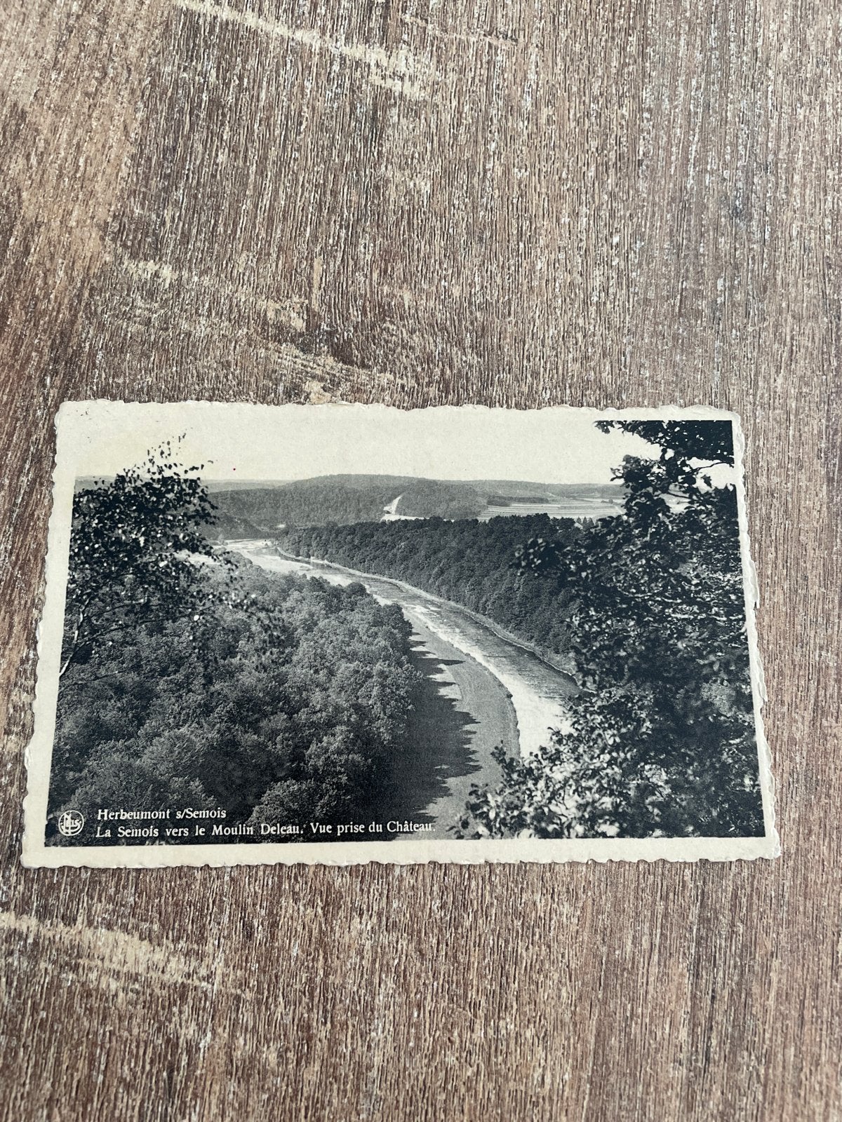Oude Ansichtkaart Herbeumont s/Semois - Vue prise du Château, Verzamelen, Ophalen of Verzenden, Gelopen, België en Luxemburg