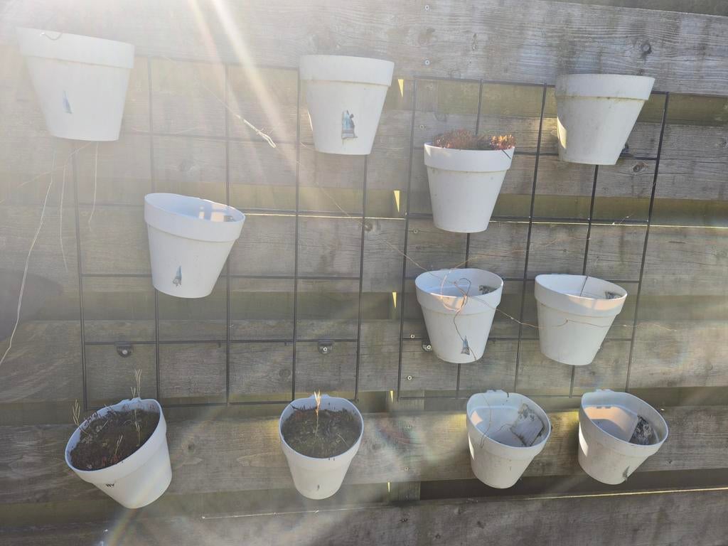 Set van 10 Plantenhangers voor Buiten, Tuin en Terras, Bloempotten, Ophalen, Kunststof, Gebruikt, Rond