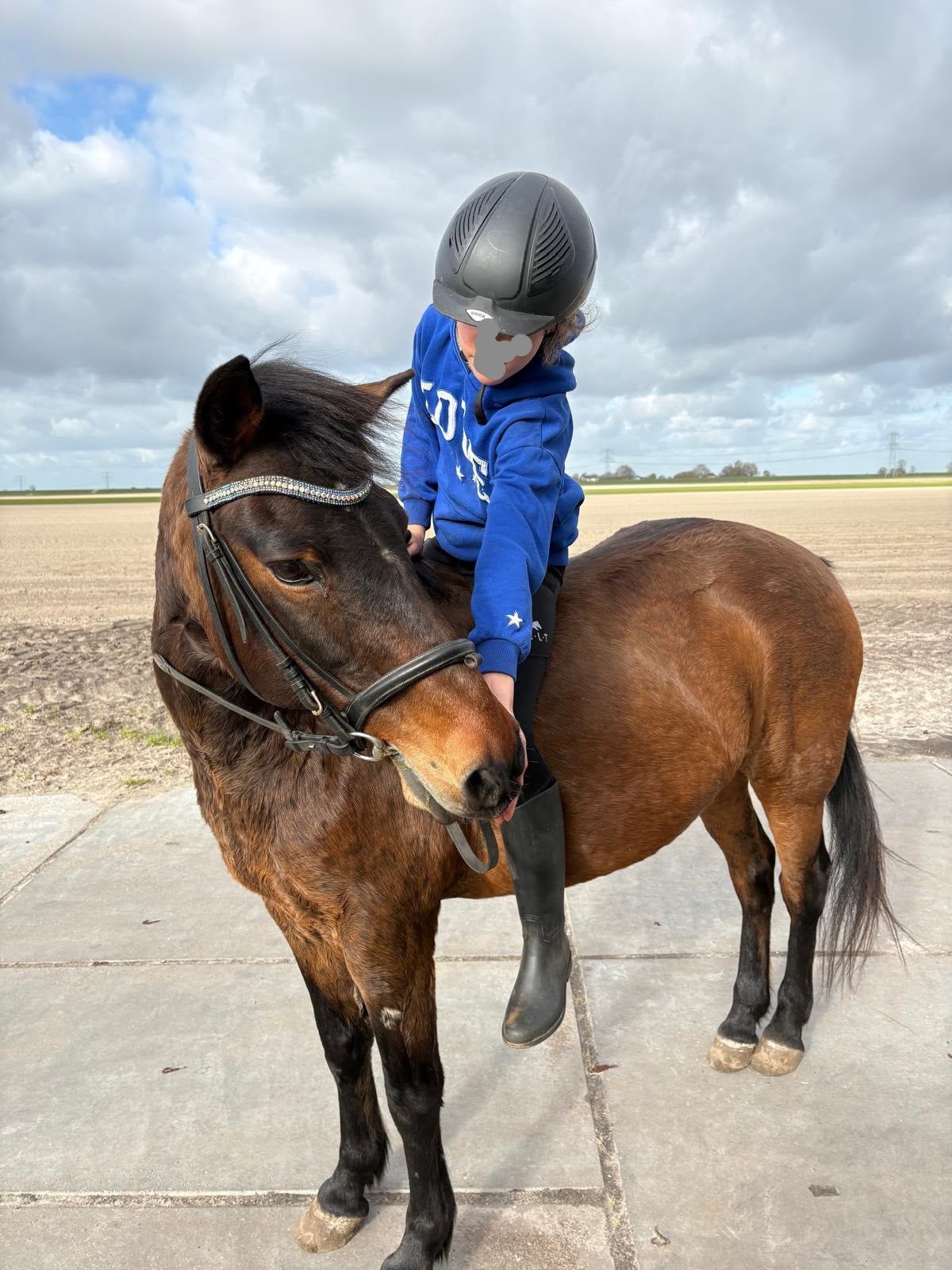 C pony, Minder dan 160 cm, B, 11 jaar of ouder, Recreatiepaard