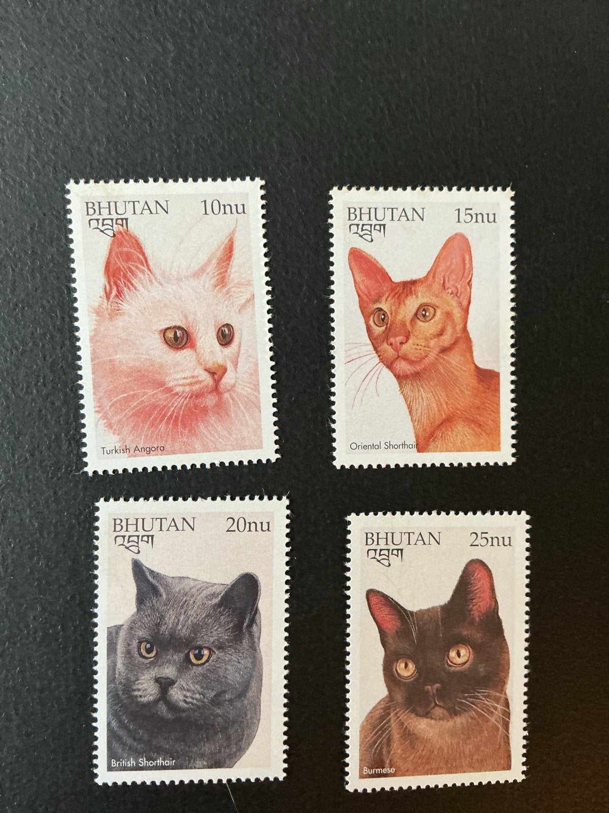 Bhutan Katten Katzen Chats cats - Set van 4, Verzenden, Postfris, Dier of Natuur