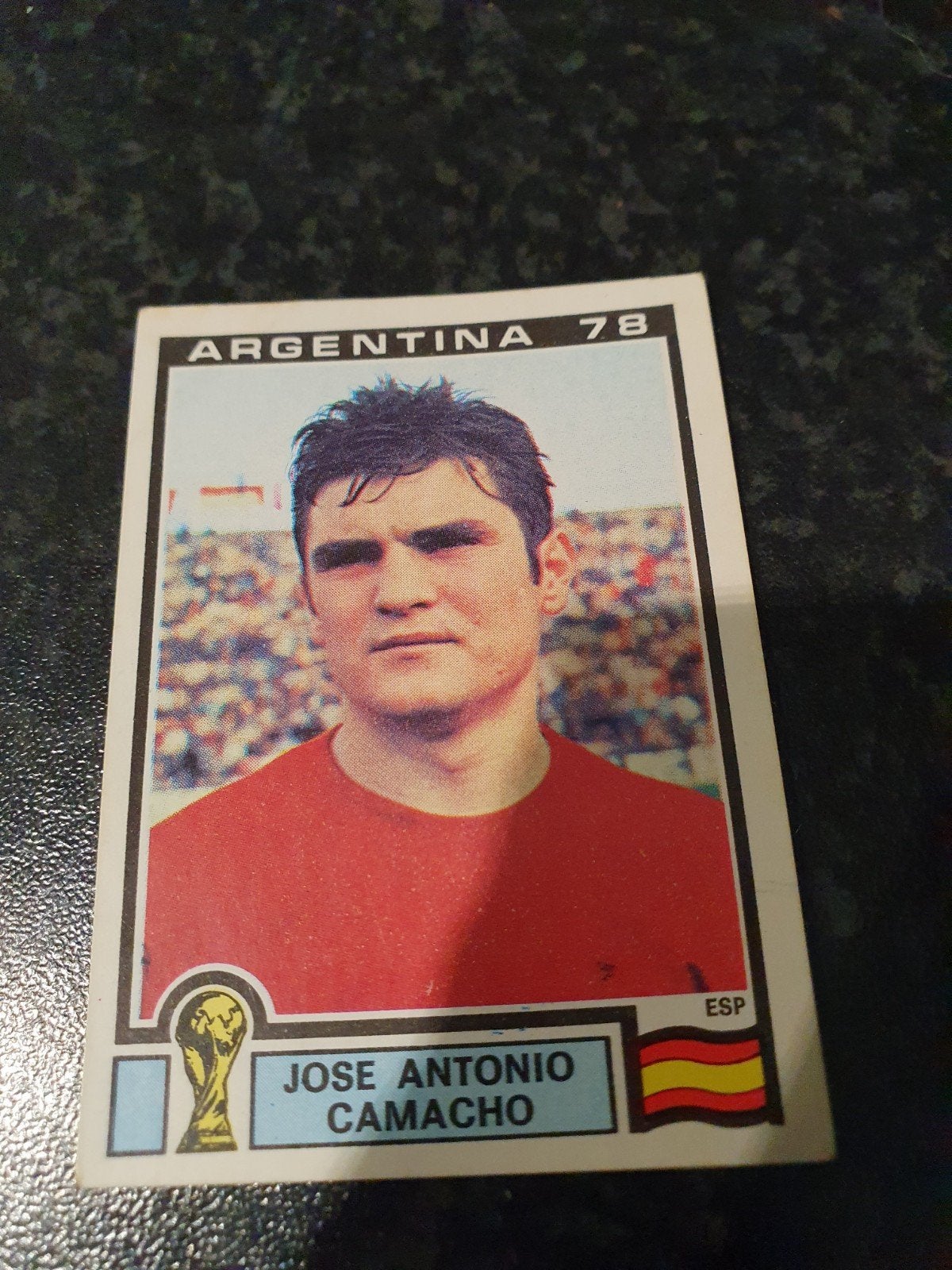 Panini Argentina 78 - Nmr 212, Ophalen of Verzenden, Zo goed als nieuw, Plaatje