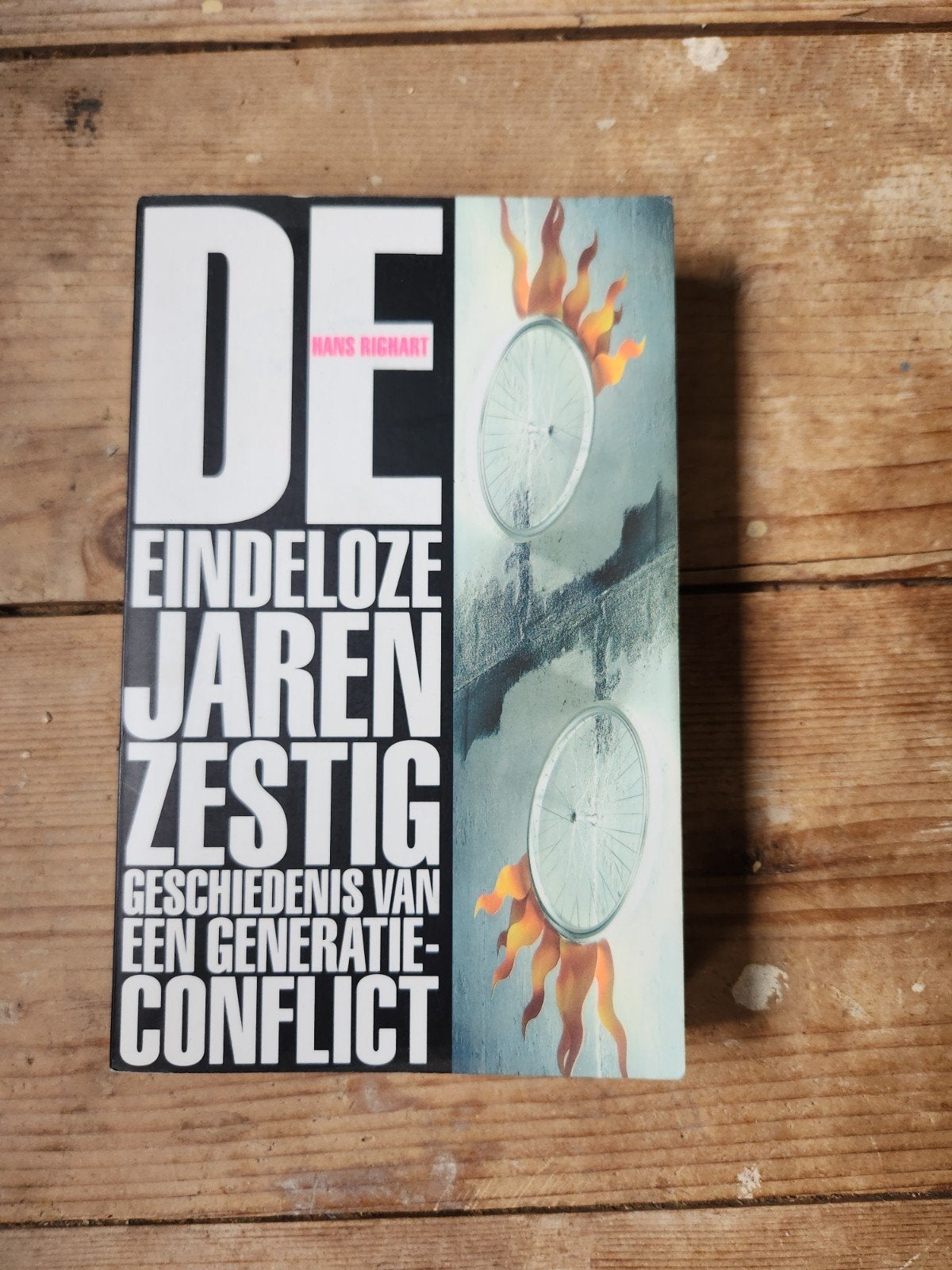 De Eindeloze Jaren Zestig - Hans Righart (1995), Ophalen of Verzenden, 20e eeuw of later, Gelezen, Hans Righart