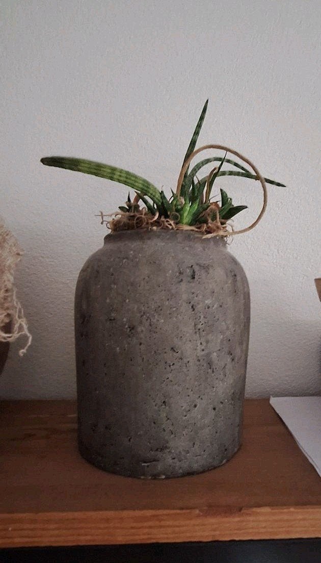 Mooie grijze pot van PTMD, 22 cm hoog, Gebruikt, Rond, Binnen, Ophalen of Verzenden