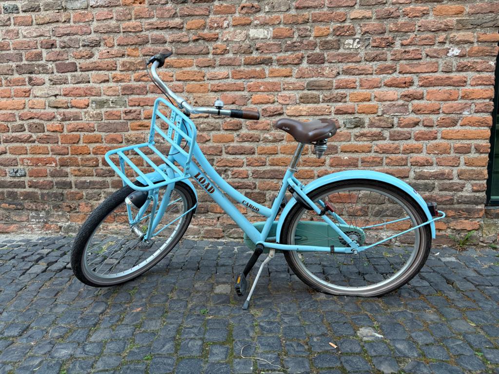 Meisjesfiets cargo 24 inch, Fietsen en Brommers, Fietsen | Meisjes, Gebruikt, 24 inch, Handrem, Ophalen