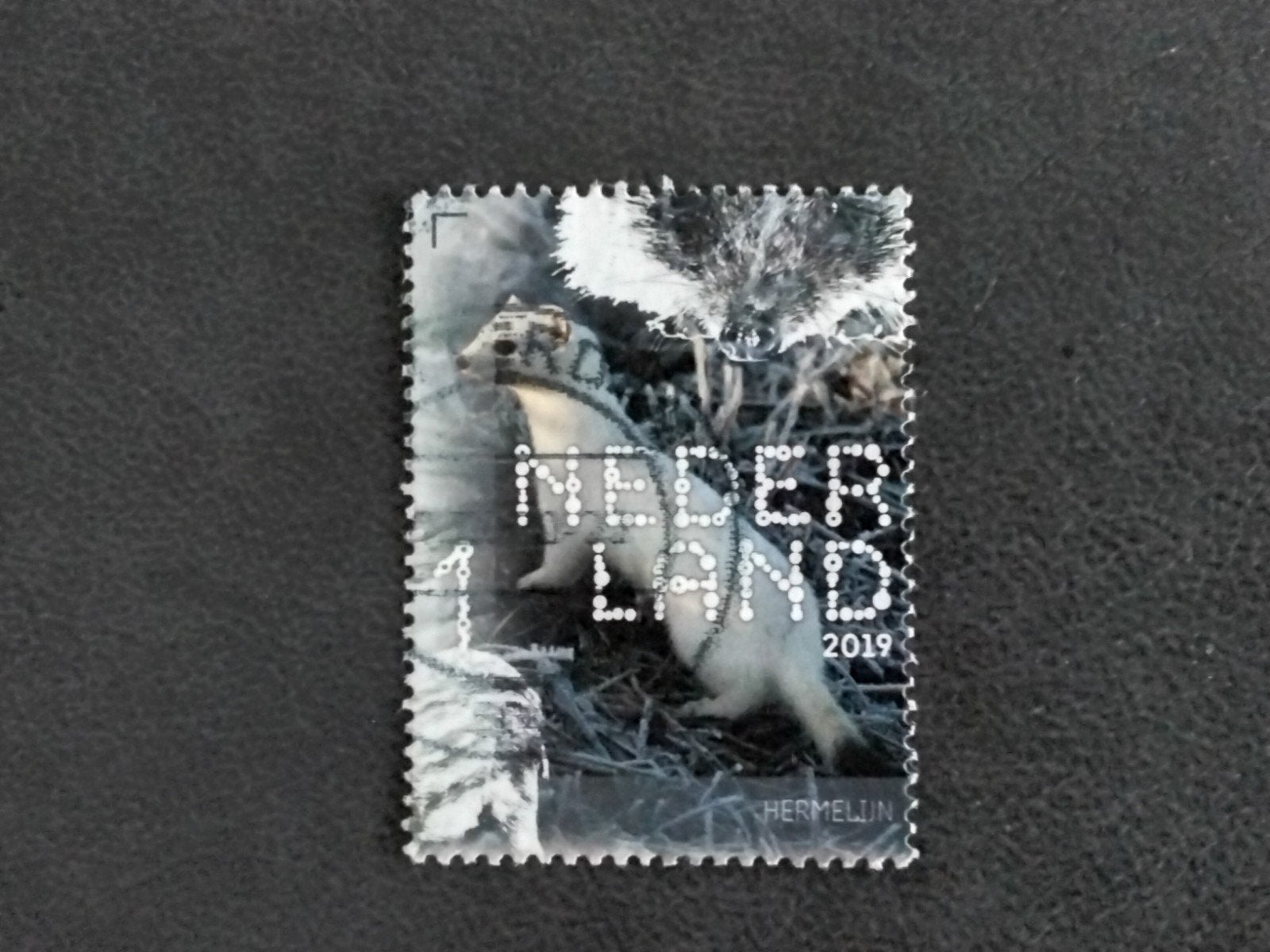 Beleef de Natuur zegel 2019 gestempeld, Verzenden, Gestempeld