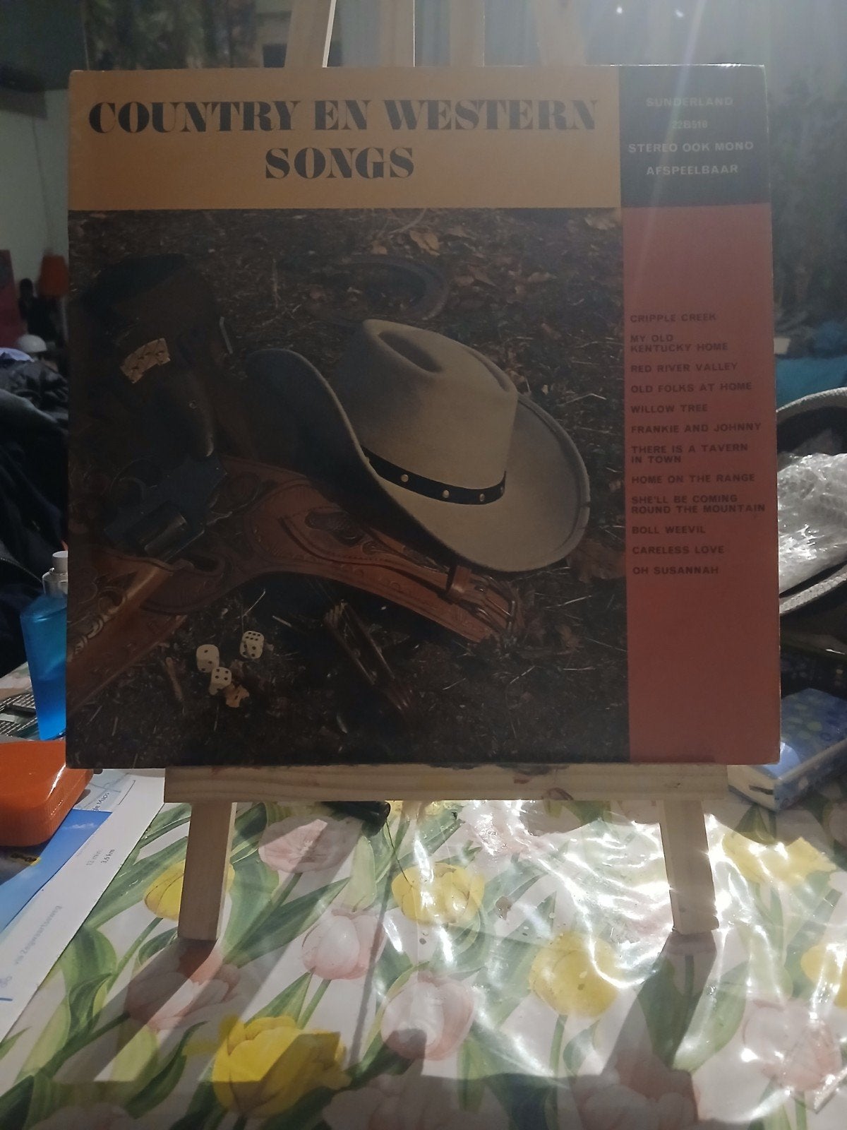 Country en Western Songs LP - Vintage Muziek, Ophalen of Verzenden, Gebruikt, Country