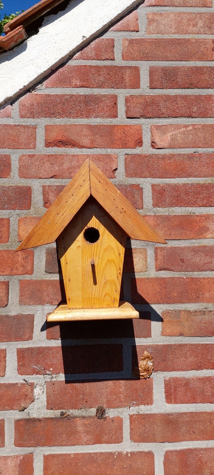 Nestkastje, Ophalen of Verzenden, Nieuw