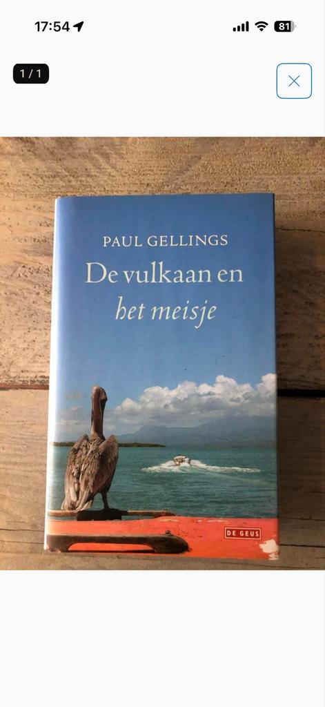 De vulkaan en het meisje - Paul Gelling, Ophalen of Verzenden, Gelezen, Nederland