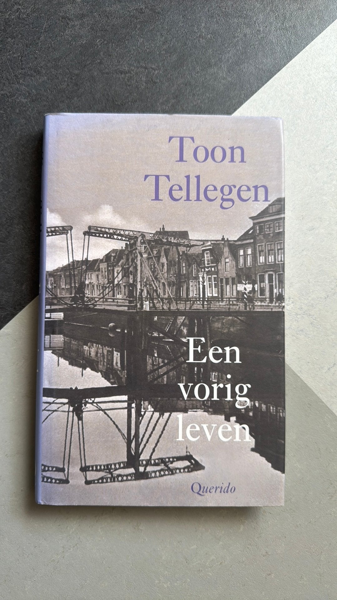 Toon Tellegen - Een vorig leven, Ophalen of Verzenden, Zo goed als nieuw, Toon Tellegen
