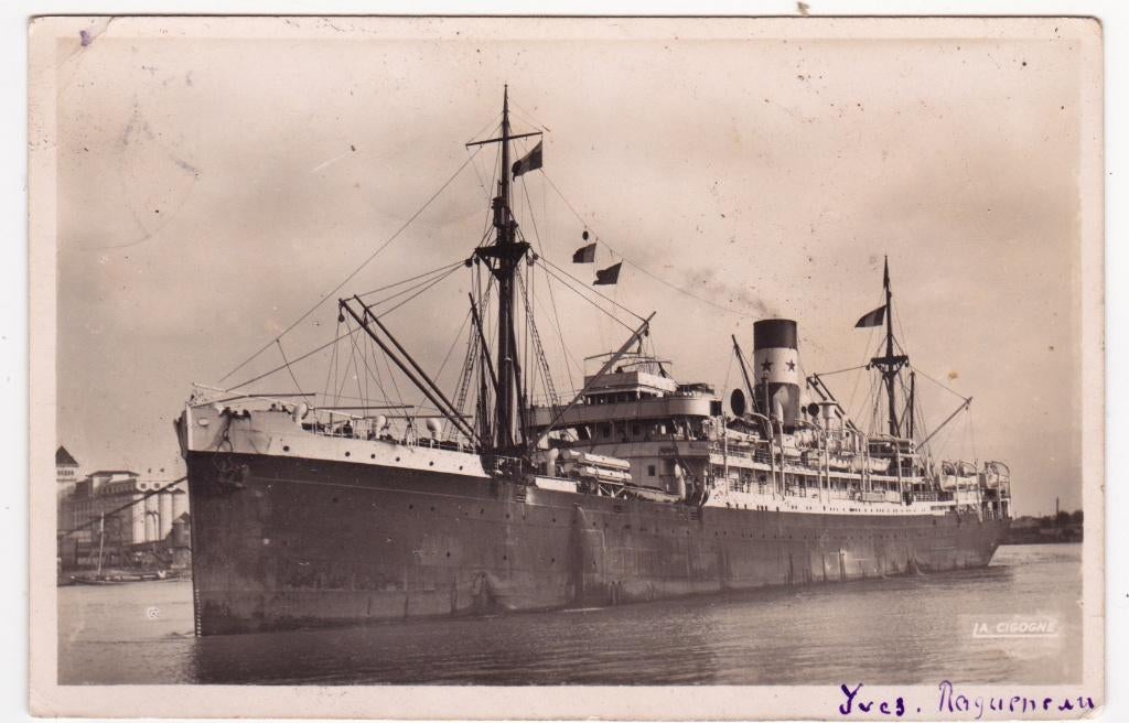 Passagiers en Vrachtschip s.s. Cottica - 1951, Verzenden, Gebruikt, Kaart, Foto of Prent