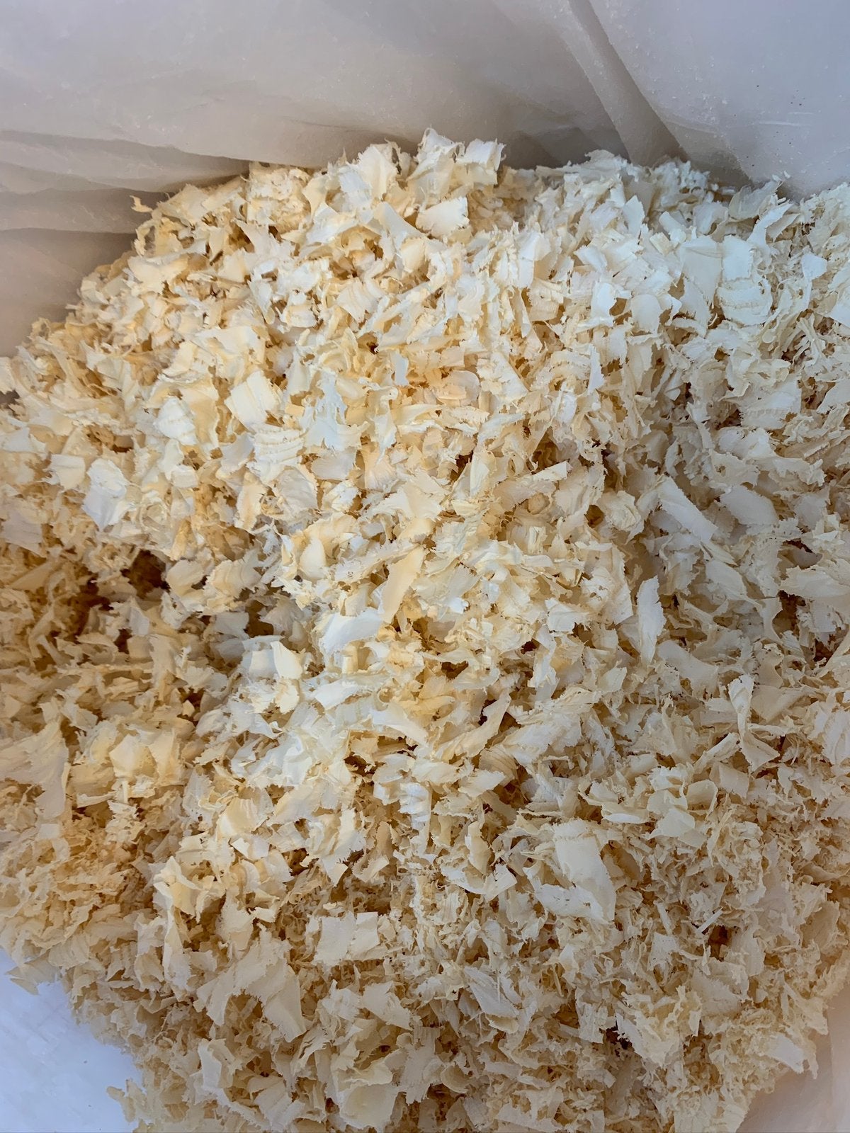 Te koop mooie schaafkrullen, Dieren en Toebehoren, Ophalen, Overige soorten