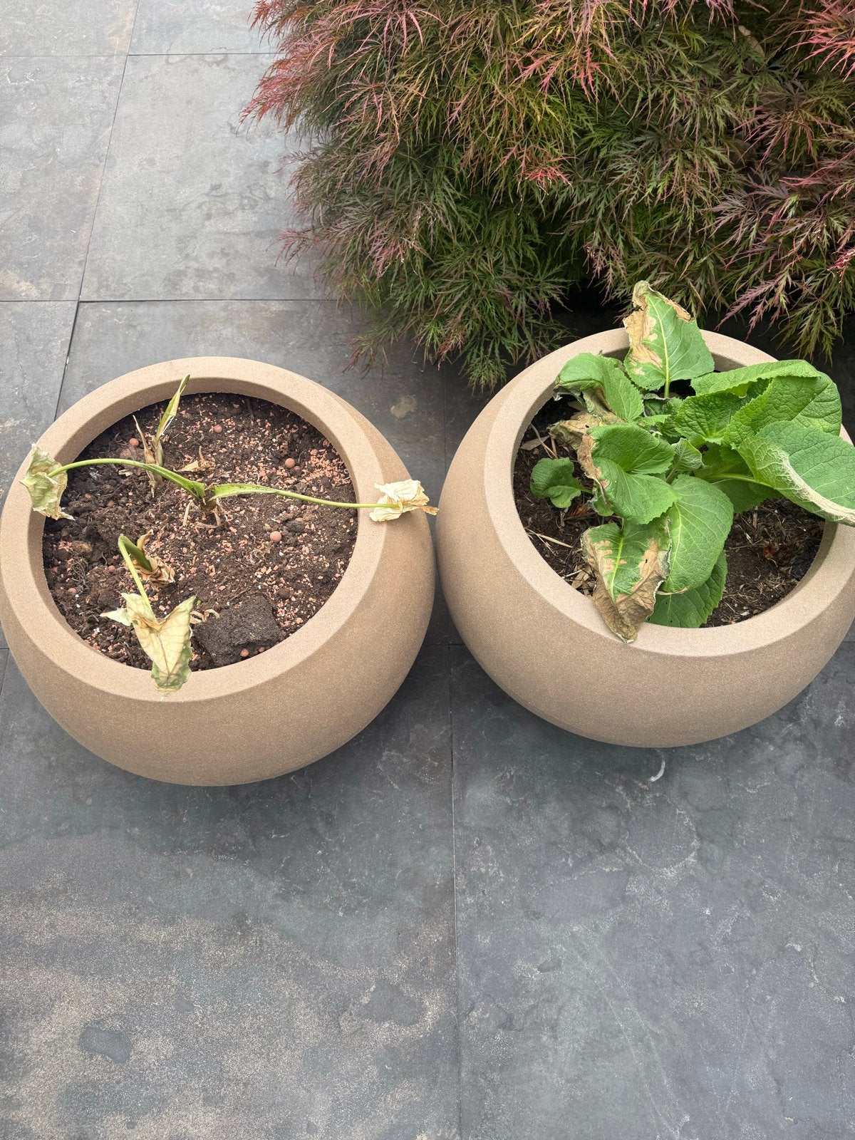 Capi Europe ronde bloempotten - set van 2, Tuin en Terras, Bloempotten, Ophalen, Kunststof, Gebruikt, 40 cm of meer