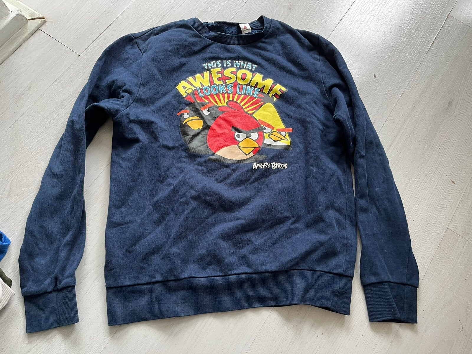 Angry birds trui maat 152, Kinderen en Baby's, Ophalen of Verzenden, Zo goed als nieuw, Jongen, Trui of Vest