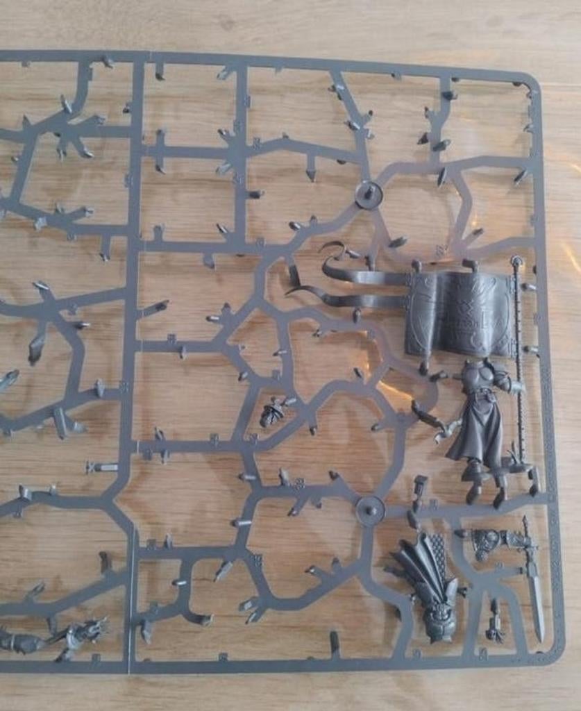 Warhammer dominion rest sprue zie foto Prijs 10, Ophalen of Verzenden, Zo goed als nieuw, Warhammer