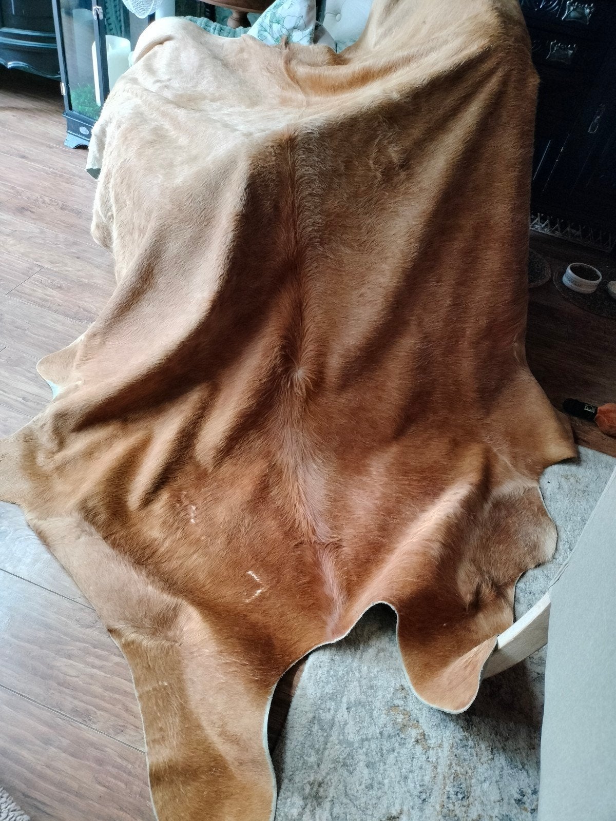 Koeienvloerkleed, Ophalen, Zo goed als nieuw