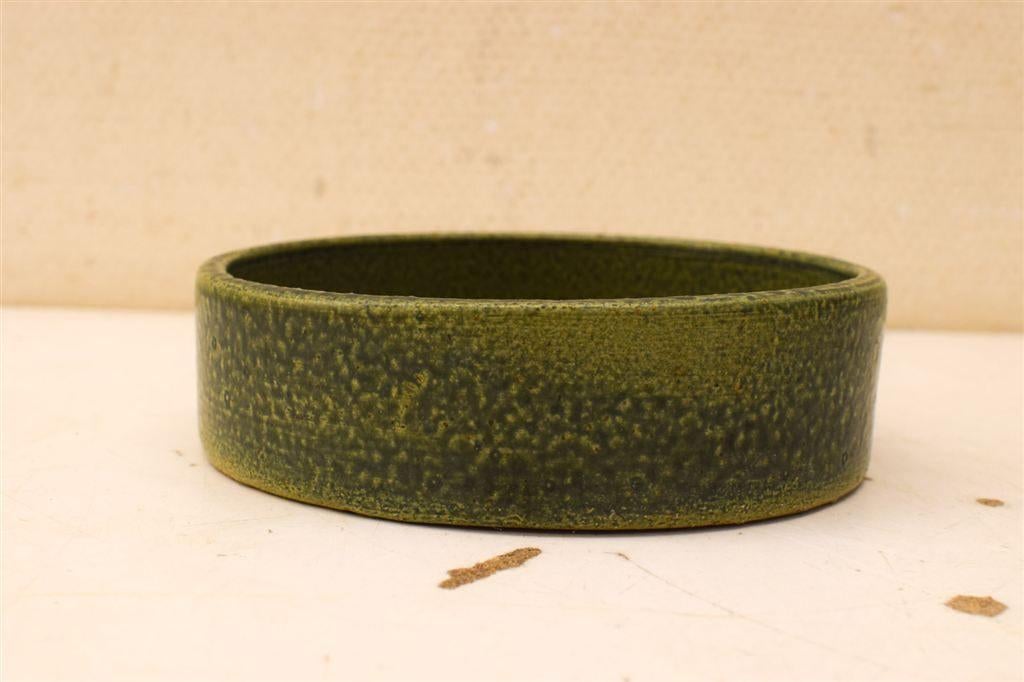 Groene schaal 46950