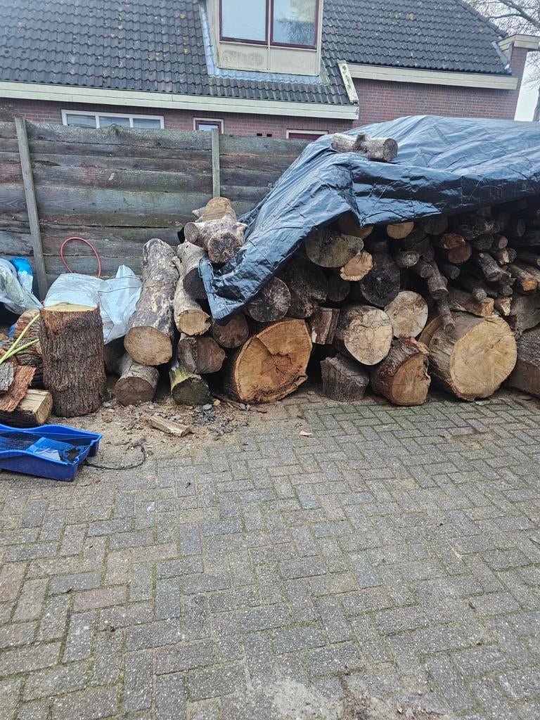 Brandhout Stammen en Blokken - eik, 6 m³ of meer, Ophalen of Verzenden, Eikenhout, Blokken