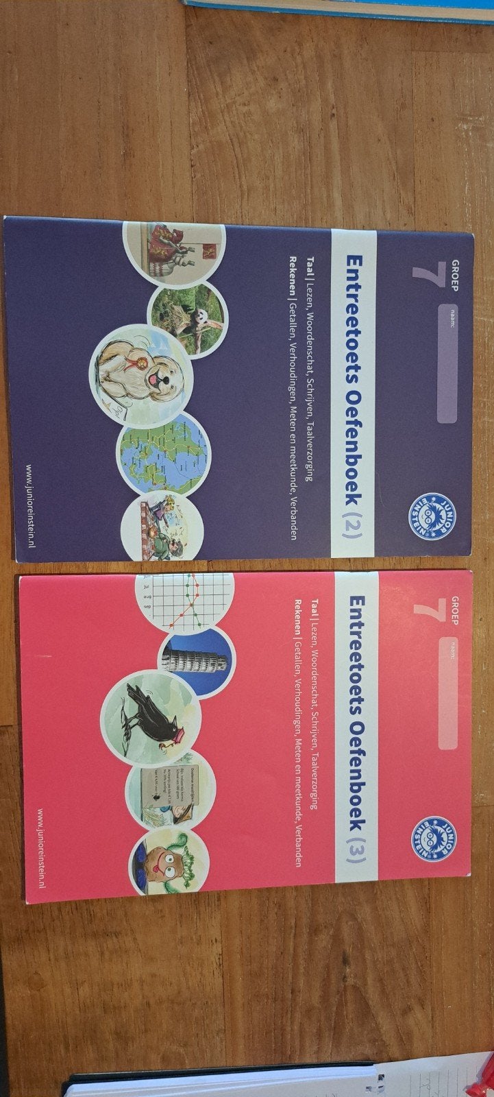 Junior Einstein Groep 7 Entreetoets Taal Deel 2 & 3, Ophalen of Verzenden