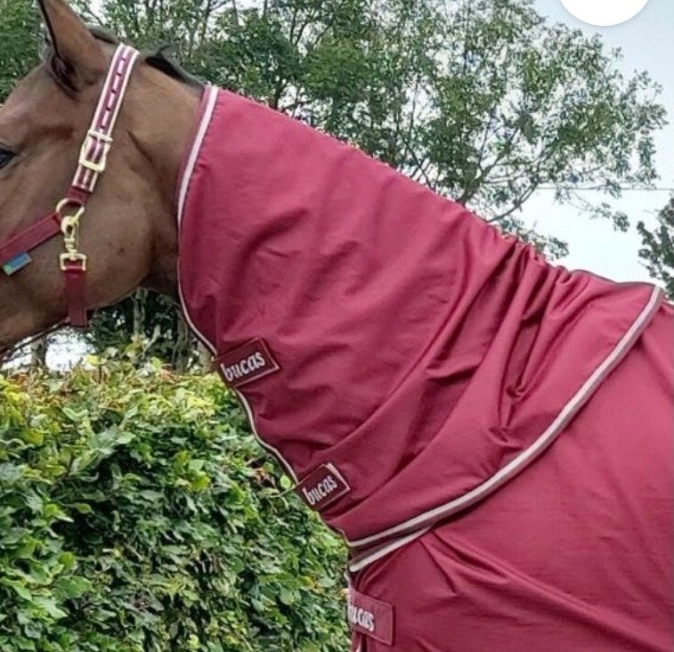 gezocht bucas halsdeel x-range kleur ruby (52), Ophalen of Verzenden