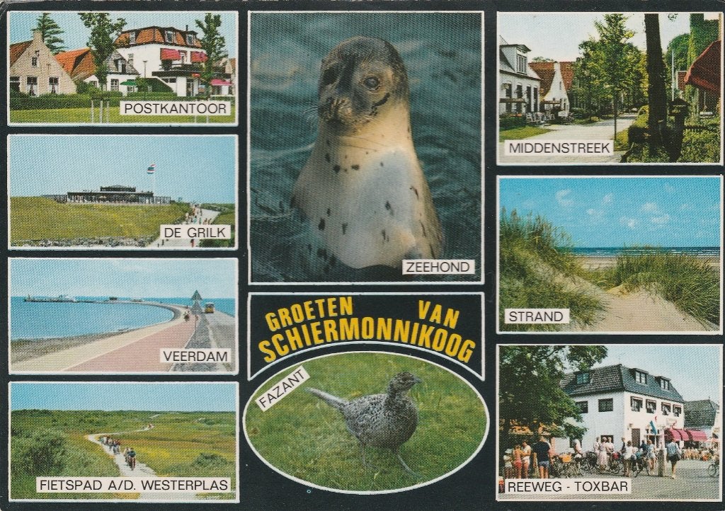 SCHIERMONNIKOOG Postkantoor De Grilk Veerdam Reeweg Groeten, Verzenden, 1980 tot heden, Gelopen, Waddeneilanden