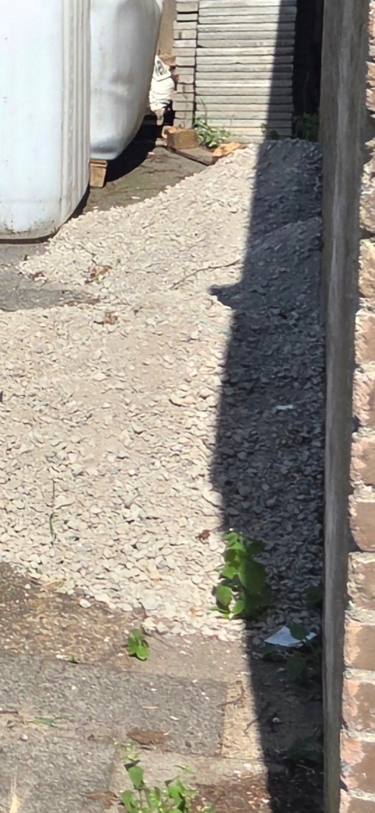 Betongranulaat, Tuin en Terras, Ophalen, Beton, Klinkers