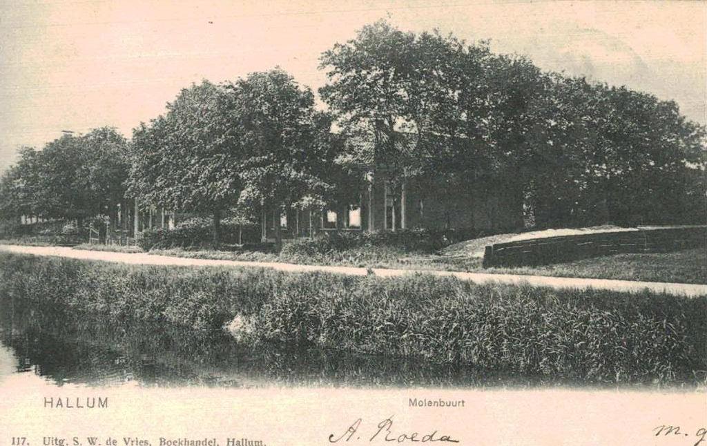 1904 HALLUM Uitg. S. W. de Vries Boekhandel Hallum, Verzamelen, Ansichtkaarten | Nederland, Ophalen of Verzenden, Voor 1920, Gelopen