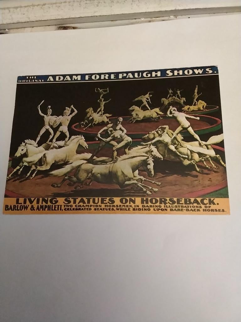 ORIGINELE ADAM FOREPAUGH SHOWS, Ophalen of Verzenden, Voor 1920, Sterren en Beroemdheden