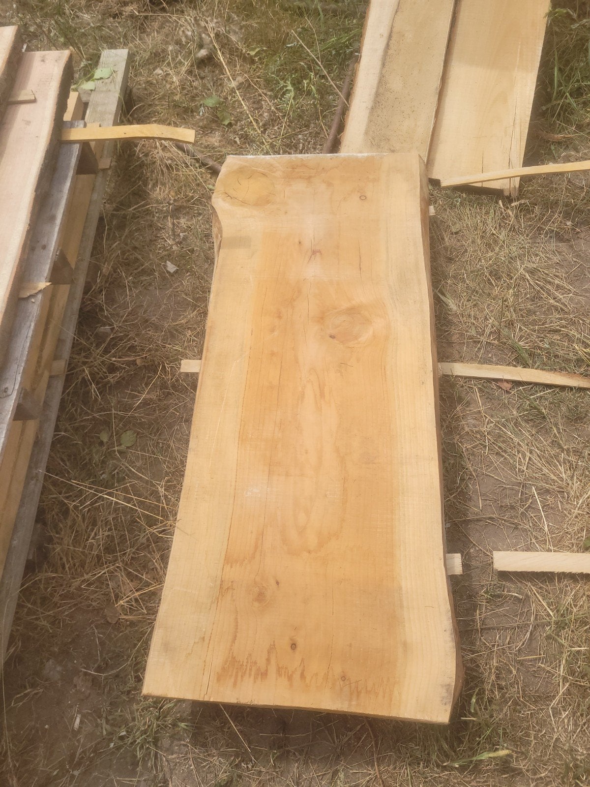 schaaldeel boomstamtafel salontafel LIBANON CEDAR, Ophalen of Verzenden, Nieuw, Minder dan 180 cm, Planken