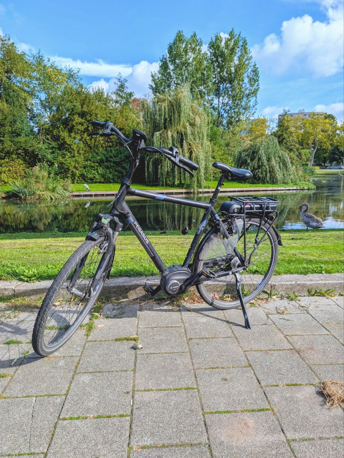 Elektrische fiets Pegasus Siena E7F met Bosch middenmotor, Ophalen, Zo goed als nieuw, Overige merken, Versnellingen