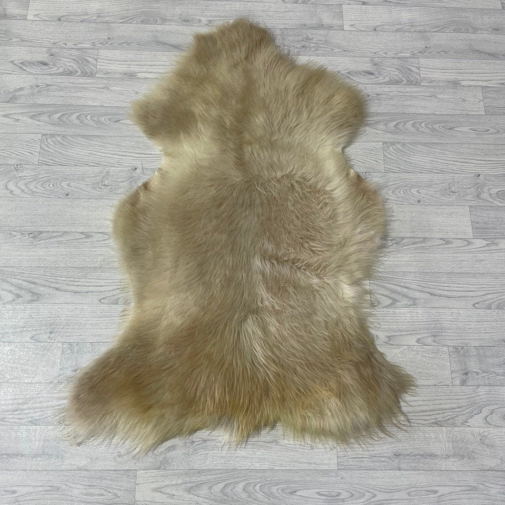 Schapenvacht hond en kat multicolor 120x80cm | Lederstore, Overige typen, Overige merken, Nieuw, Grotestraat 32, 5836 AG, Sambeek, The Netherlands
