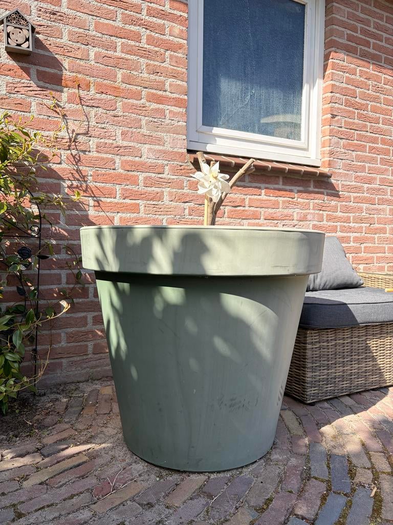 Grote Plastic Bloempot Ø 70 cm, 68 cm hoog, inclusief grond, Ophalen, Kunststof, Gebruikt, Rond