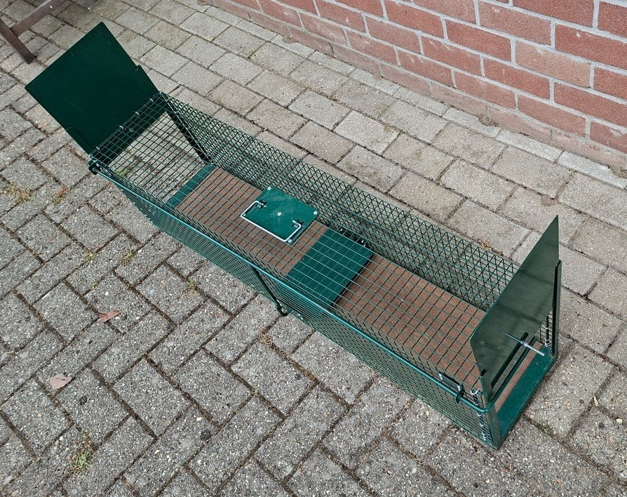 Professionele vangkooi voor marter, Ratten etc., Ophalen, Zo goed als nieuw